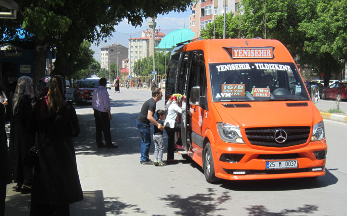 Minibüsler tek renk